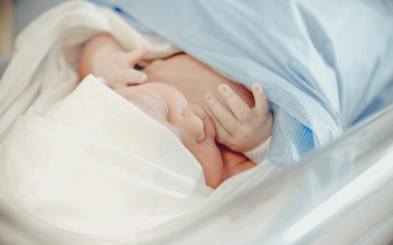 Guide to the top surrogacy agencies for  Germany residents